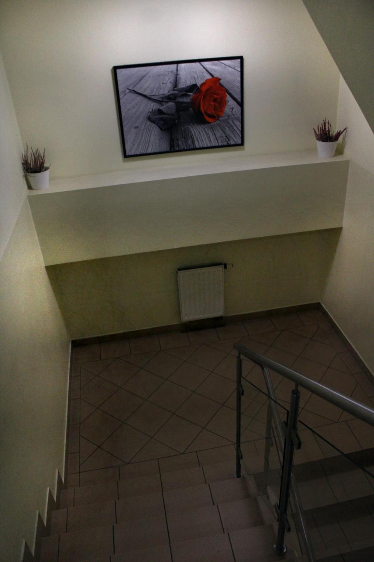 Hotel Kreator-Sport Krasków Exterior foto
